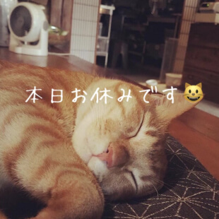 本日お休みです